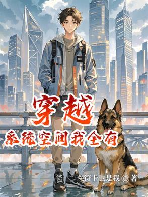穿越拥有系统的