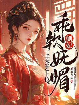 侧妃争宠